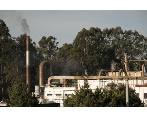 Environmental Impact Mitigation